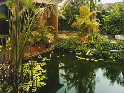 Maison, 523,27 m²