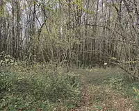 Terrain, 405 918 m²