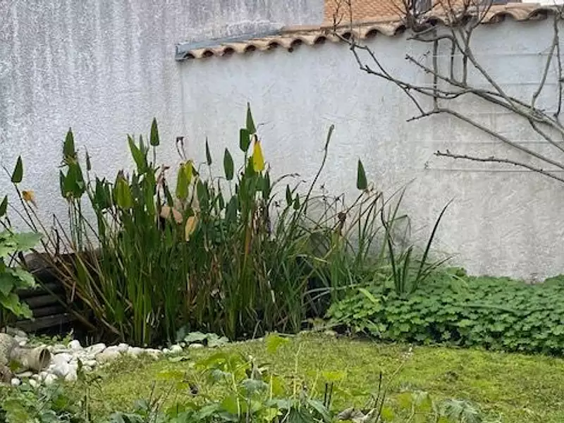 Maison, 205 m²