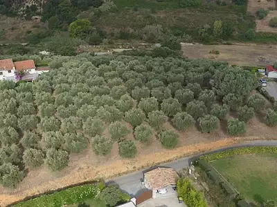 Terrain, 16 000 m²