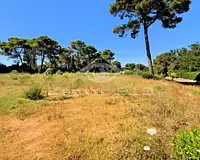 Terrain