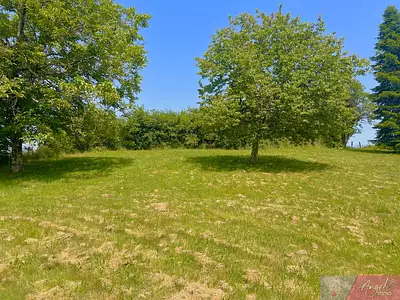 Maison, 215 m²