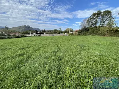 Terrain, 7 288 m²