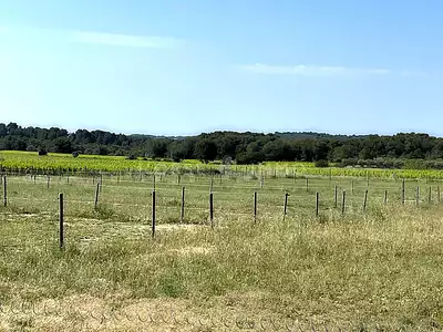 Maison, 330 m²