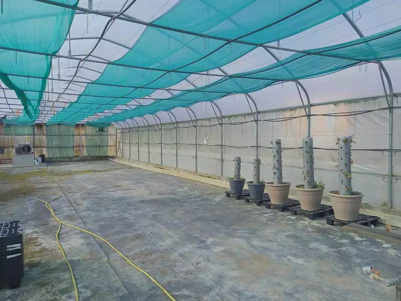 Terrain, 6 000 m²