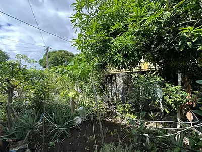Maison, 70 m²