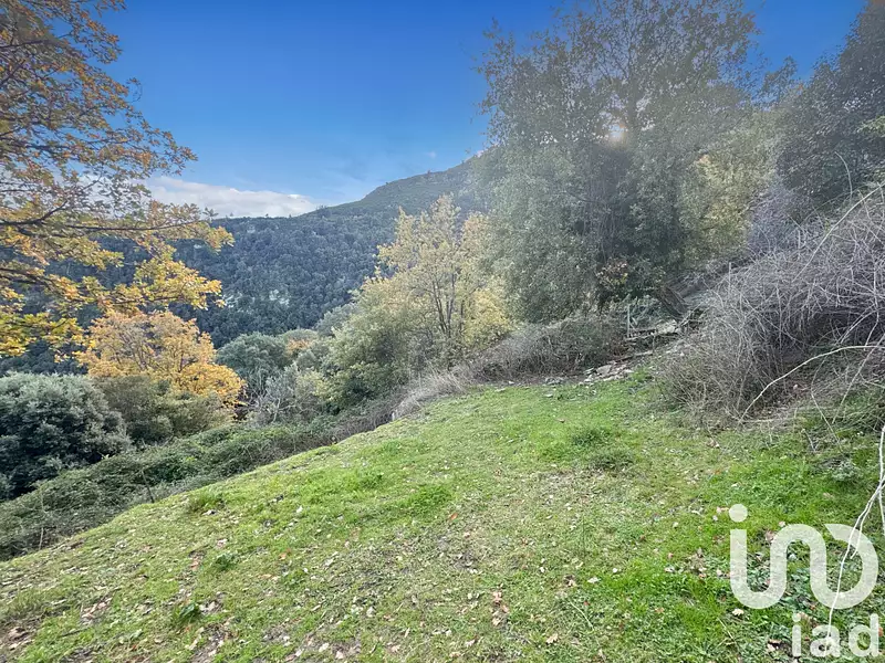 Terrain, 842 m²
