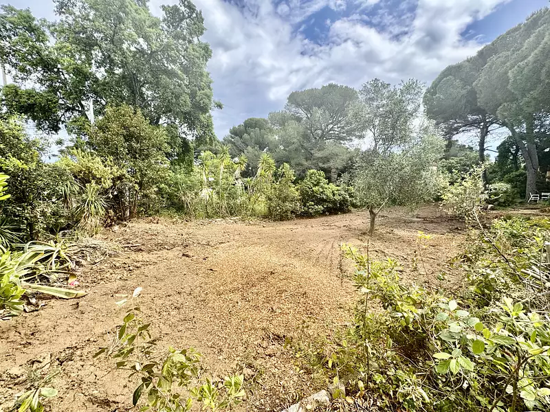 Terrain, 401 m²