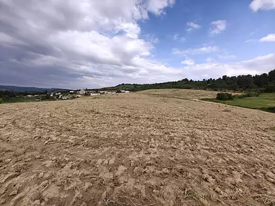 Terrain, 14 120 m²