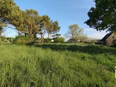 Terrain, 915 m²