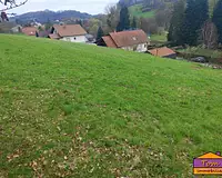 Terrain, 980 m²