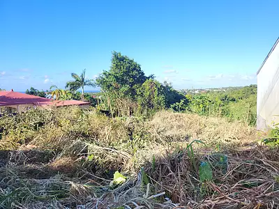 Terrain, 728 m²