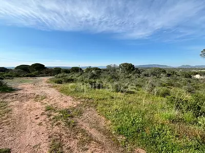 Terrain, 47 984 m²