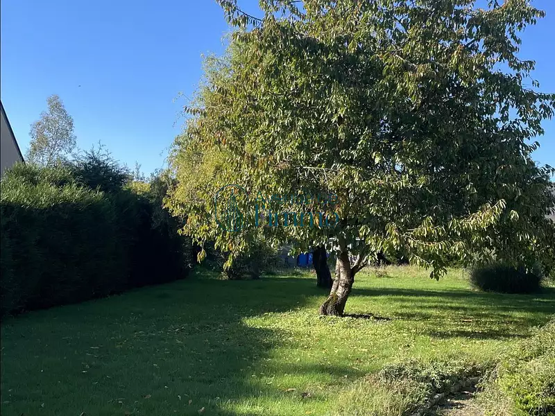 Terrain, 625 m²