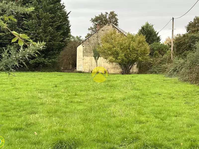Terrain