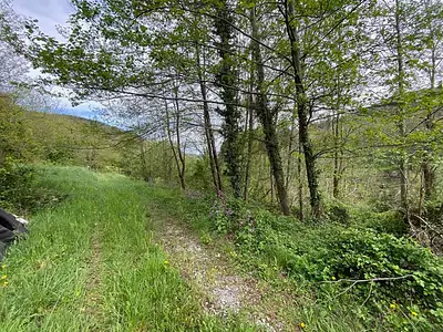 Terrain, 2 764 m²