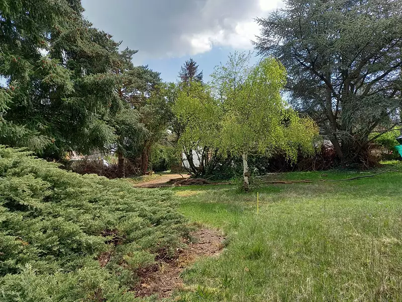 Terrain, 655 m²