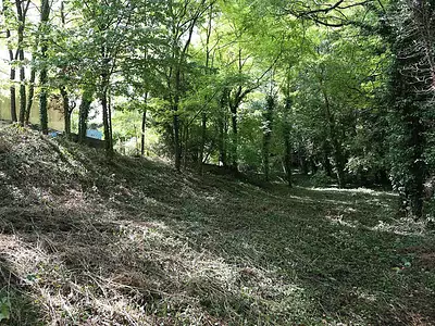 Terrain, 3 133 m²