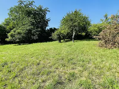 Terrain, 1 193 m²