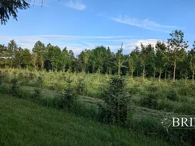 Terrain, 47 800 m²