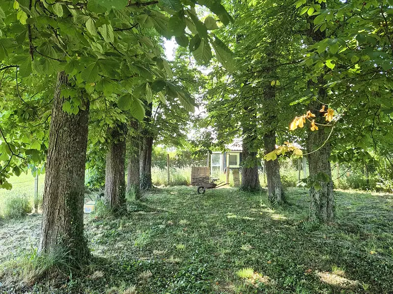 Terrain, 1 695 m²
