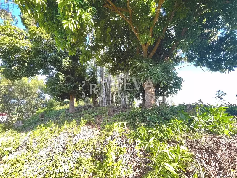 Terrain, 1 000 m²