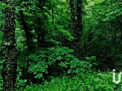 Terrain, 10 388 m²