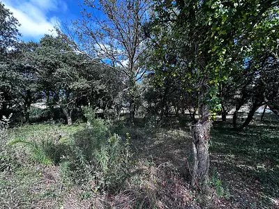 Terrain, 1 200 m²