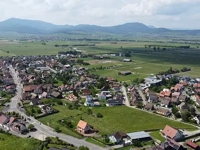 Les Roseaux