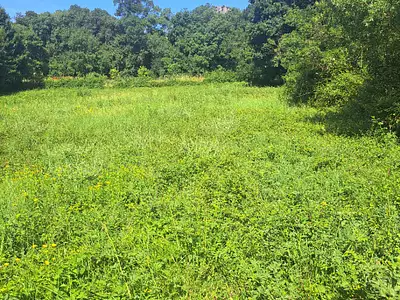 Terrain, 1 021 m²