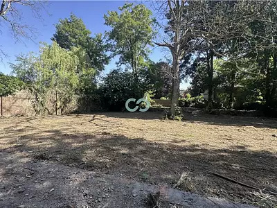 Terrain, 2 636 m²