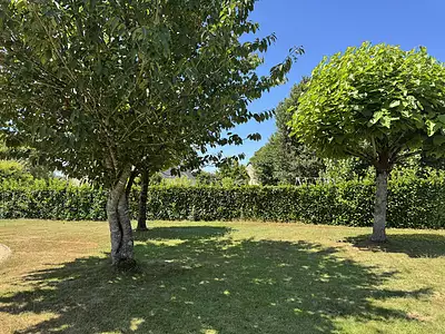 Terrain, 800 m²