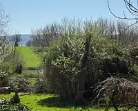 Maison, 175 m²
