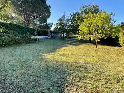 Terrain, 1 038 m²