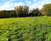 Terrain, 150 960 m²