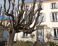 Maison, 257 m²