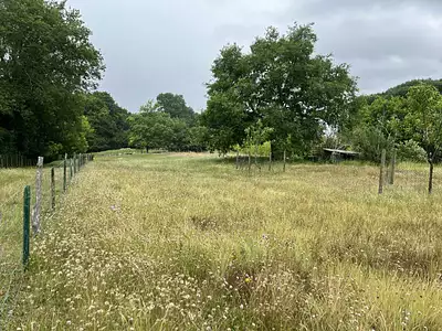 Terrain, 1 592 m²