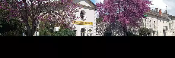 AGENCE IMMOBILIERE MARIE CHRISTINE FIGUES LAVARDAC