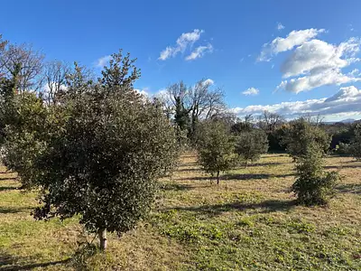 Terrain, 1 205 m²