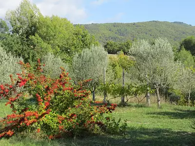 Maison, 40 m²