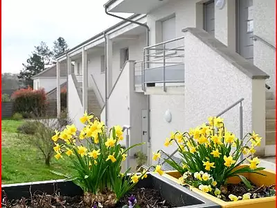 Appartement, 24,7 m²