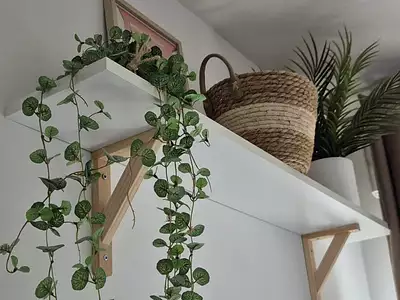 Appartement, 62,11 m²