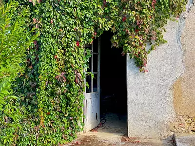 Maison, 315 m²