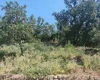 Terrain, 785 m²