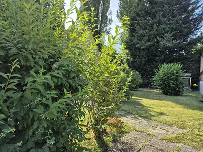 Maison, 94 m²