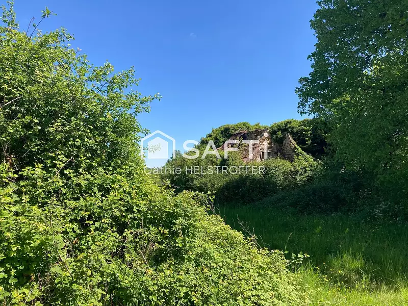 Terrain, 1 530 m²