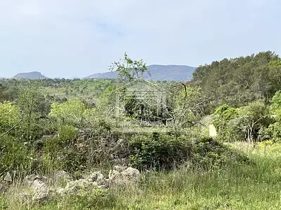 Maison, 320 m²