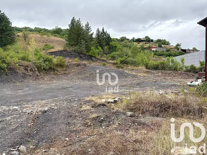 Terrain, 11 808 m²