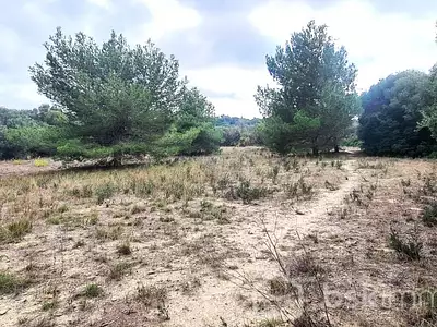 Terrain, 1 350 m²