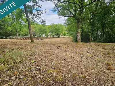 Terrain, 1 955 m²